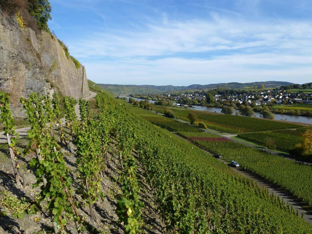 Weingut Harald Ludwig Apartment *