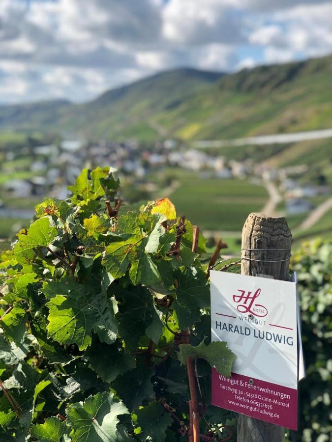 Weingut Harald Ludwig Apartment *