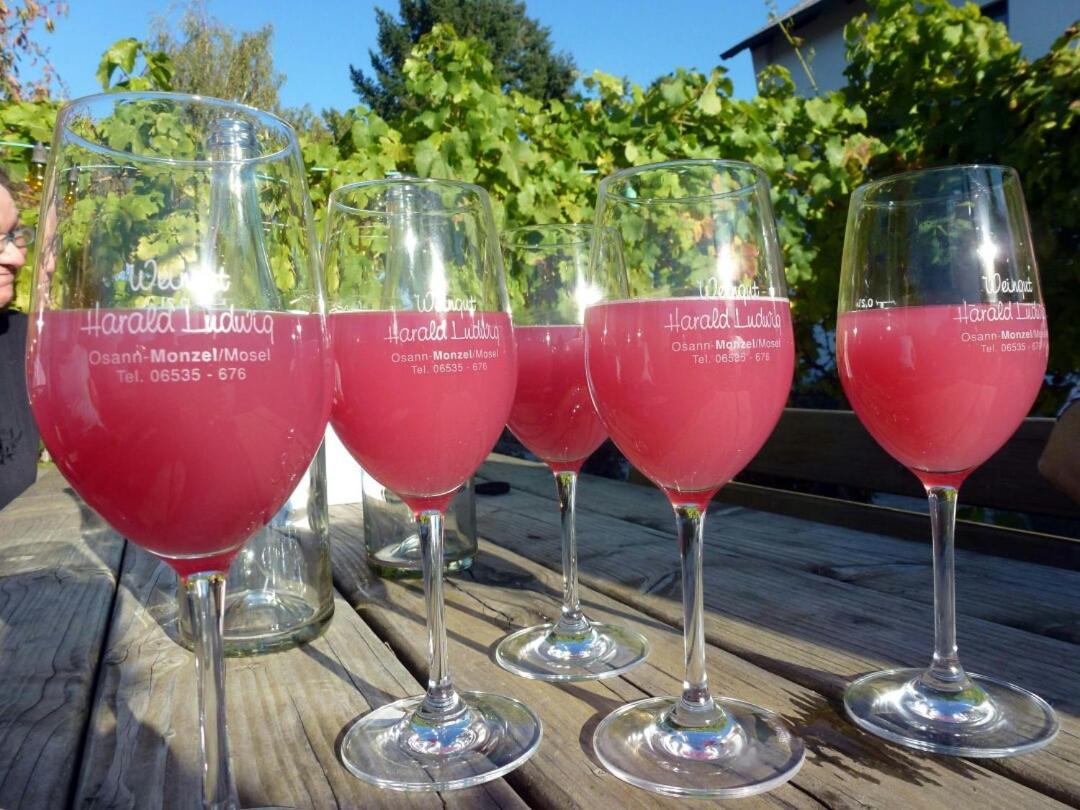 Weingut Harald Ludwig Apartment Osann-Monzel