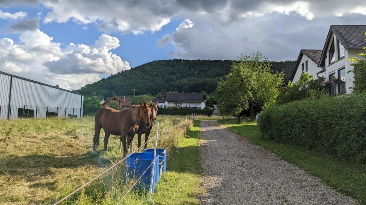 Weingut Harald Ludwig Apartment Osann-Monzel